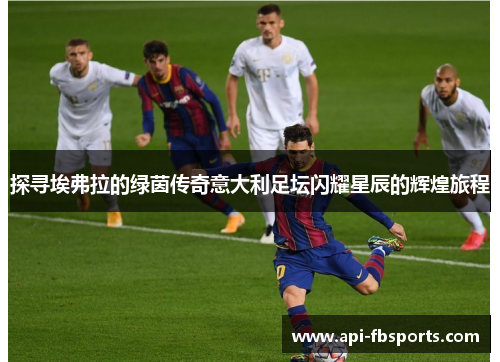 探寻埃弗拉的绿茵传奇意大利足坛闪耀星辰的辉煌旅程
