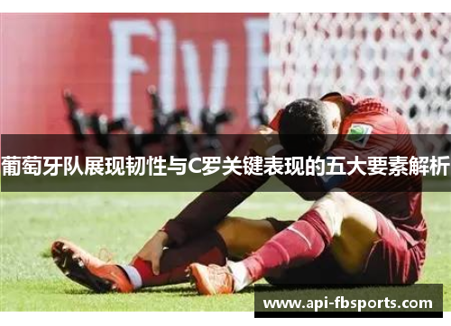 葡萄牙队展现韧性与C罗关键表现的五大要素解析 葡萄牙队展现韧性与C罗关键表现的五大要素解析